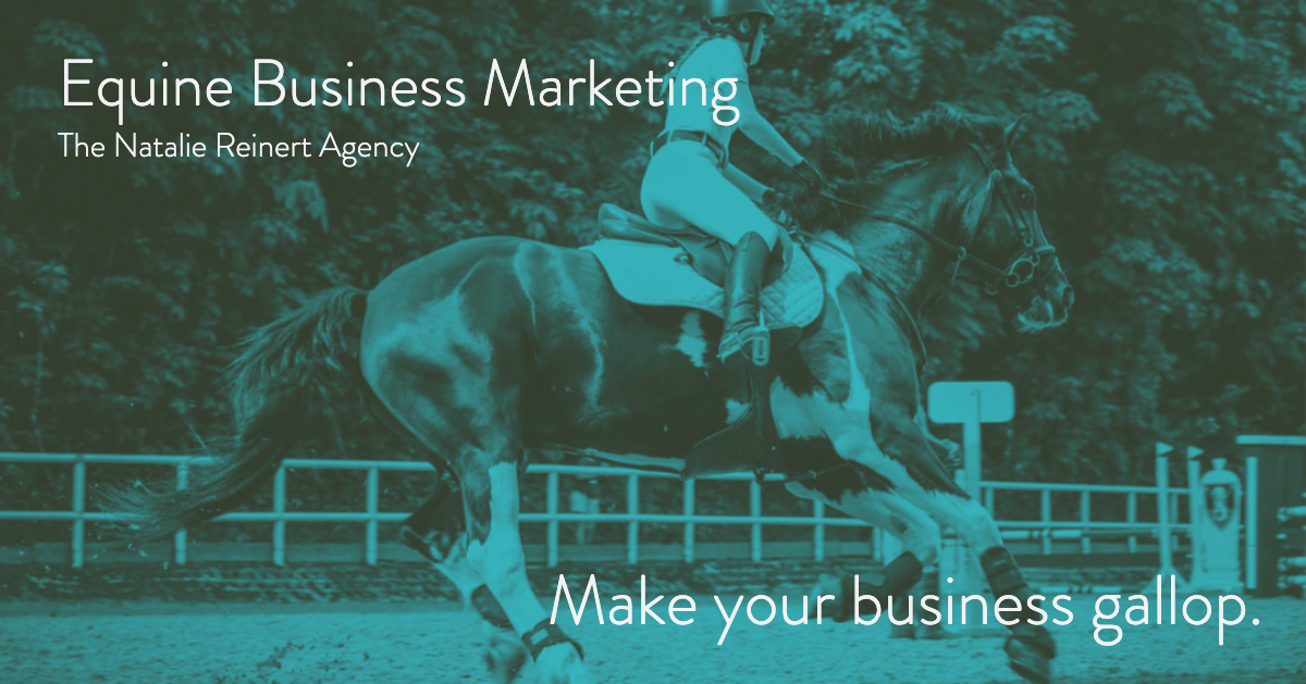 Equine Business Marketing